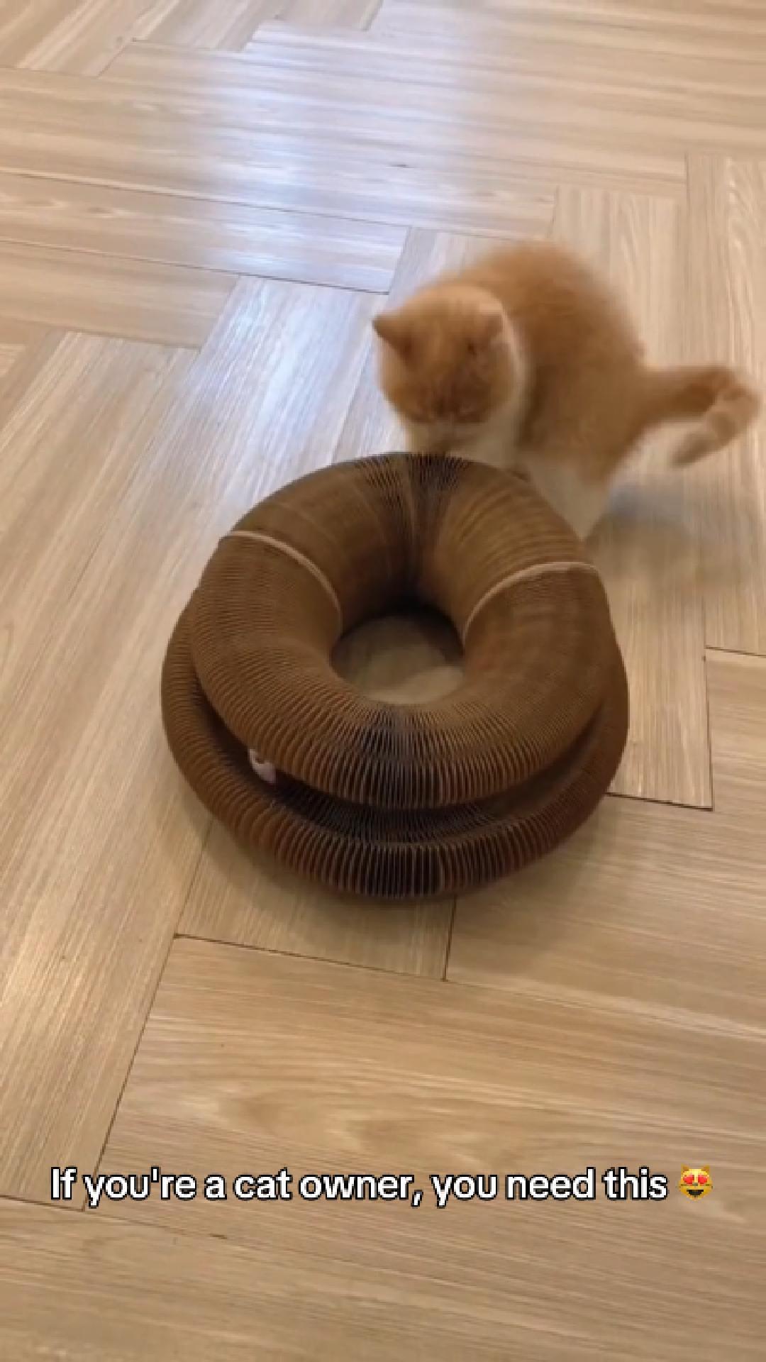 PurrLoop™ Interactive Cat Play Ring