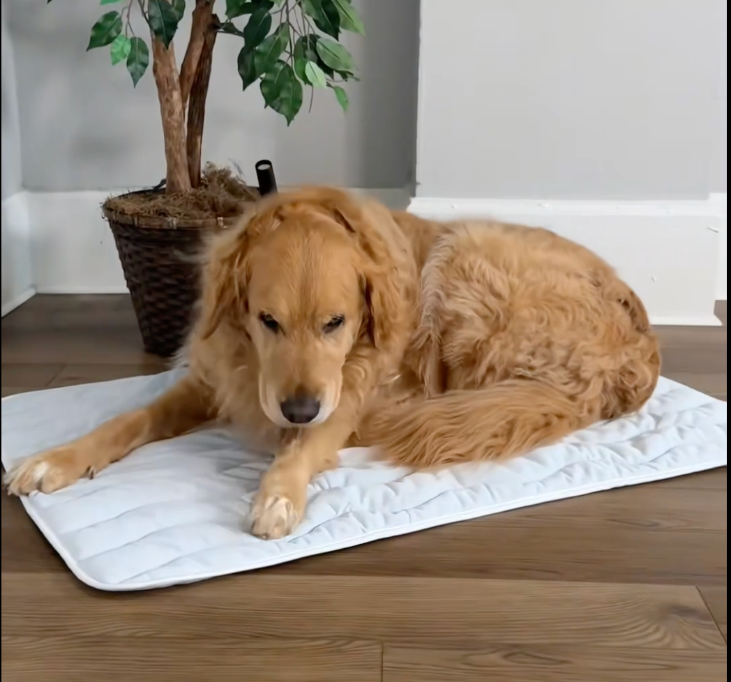 CoolPaws Cooling Mat