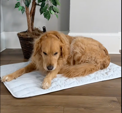 CoolPaws Cooling Mat