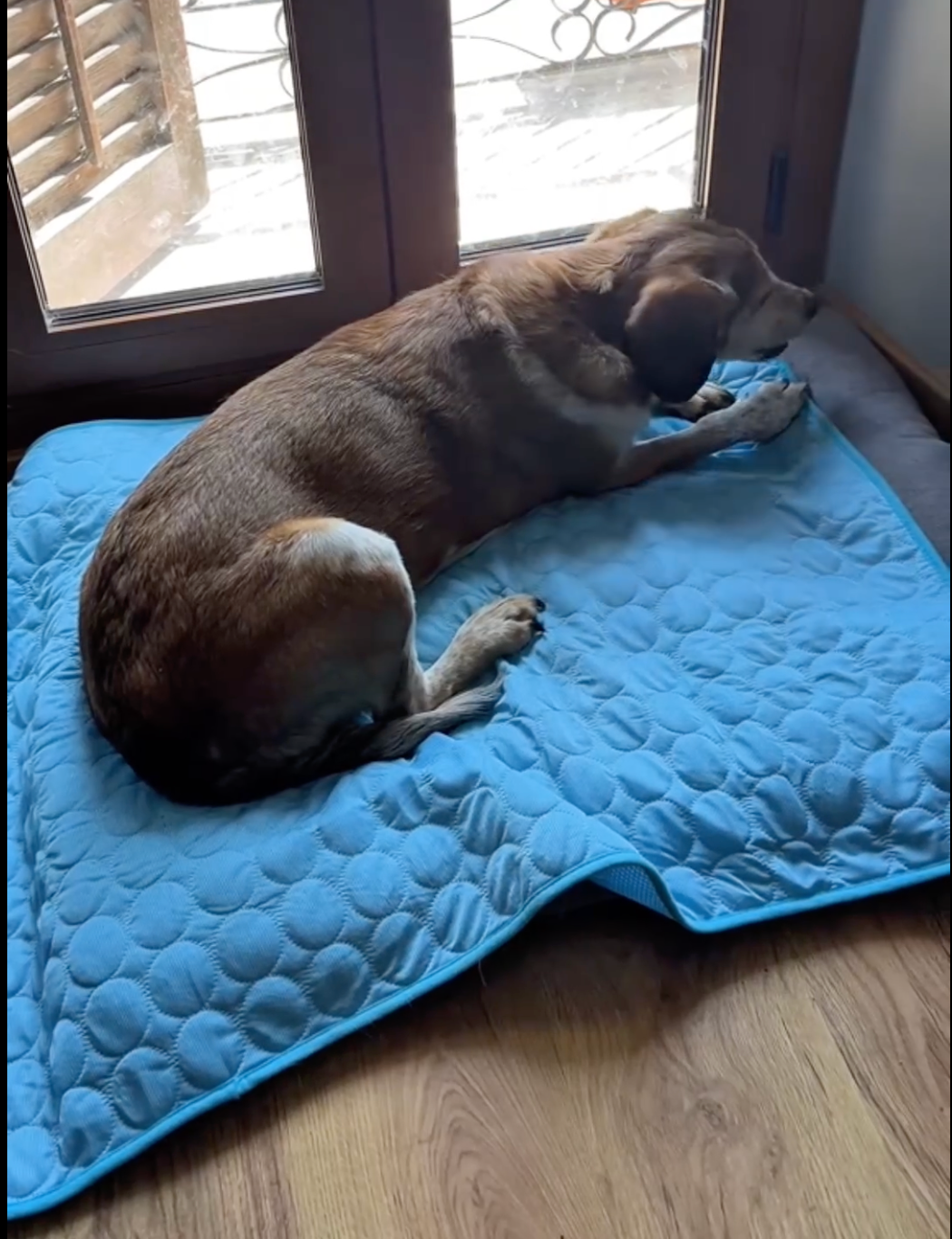 CoolPaws Cooling Mat