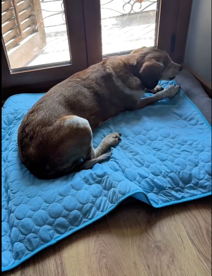 CoolPaws Cooling Mat