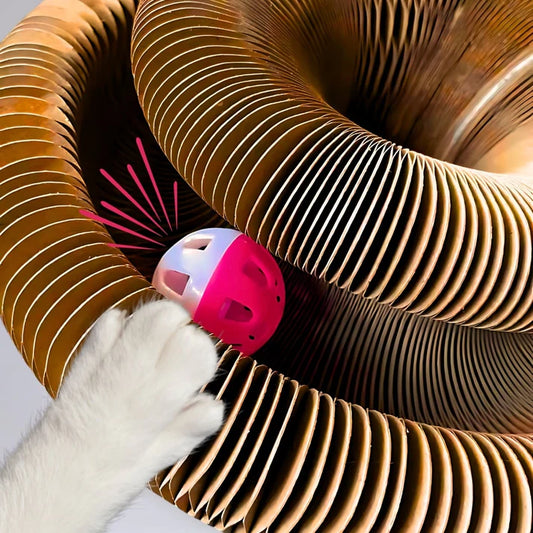 PurrLoop™ Interactive Cat Play Ring