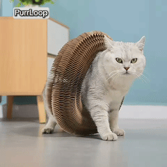 PurrLoop™ Interactive Cat Play Ring