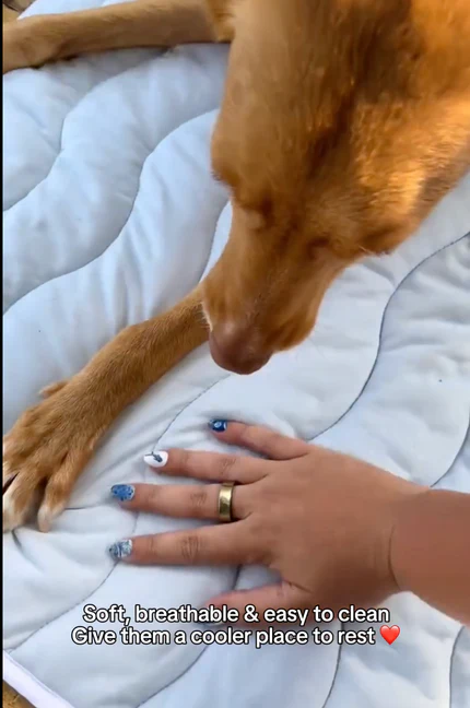 CoolPaws Cooling Mat