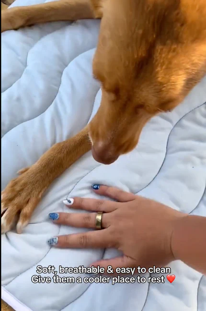 CoolPaws Cooling Mat