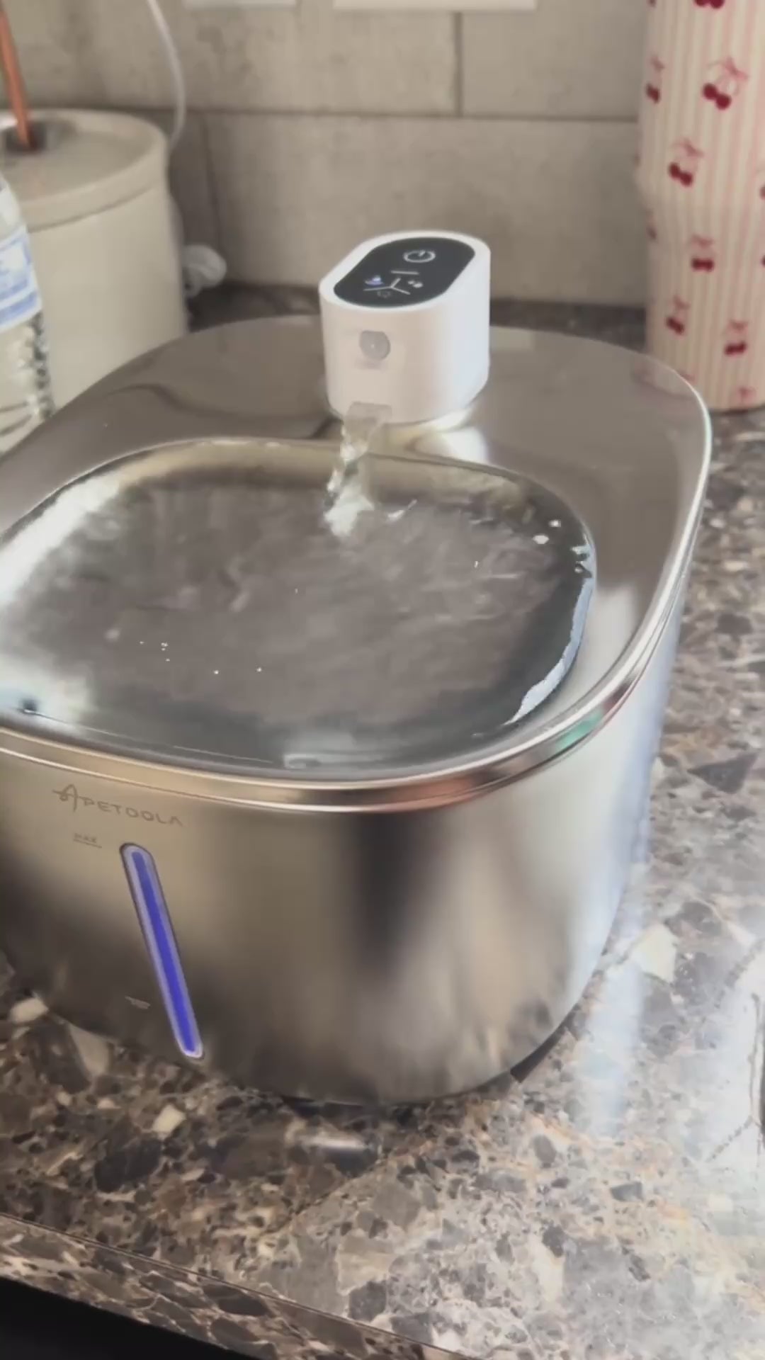 Charger la vidéo : PawFlow™ wireless pet fountain being set up and used with flowing water