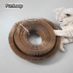 PurrLoop™ Interactive Cat Play Ring